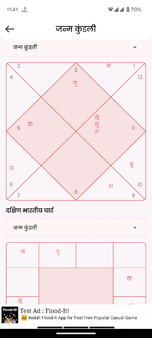 Hindu Panchang Calender Kundli Screenshot 2