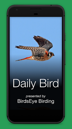 Daily Bird Screenshot 0