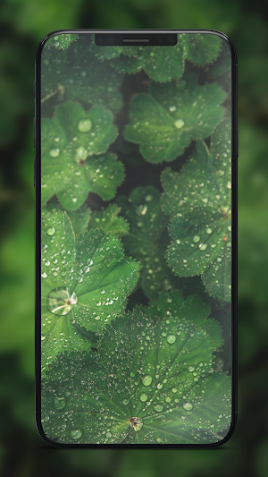 4k Wallpapers FHD Backgrounds Screenshot 2