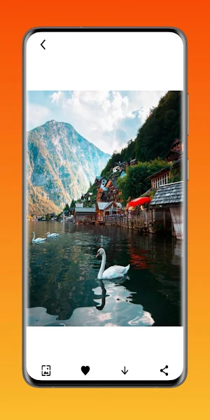 Animal Wallpapers Walpaper App screenshot 6
