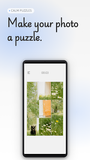 Puzzle Mood: Emotion Tracker Screenshot 3