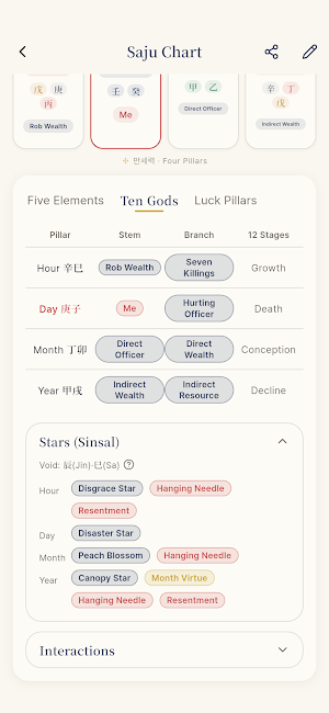 Four Pillars - BaZi Chart Screenshot 3