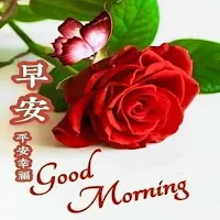 早安