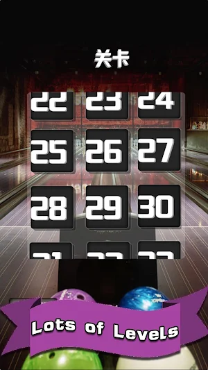 Bowling Master-3D sports game Screenshot 1