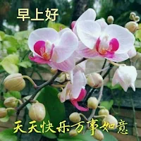 早安賀卡