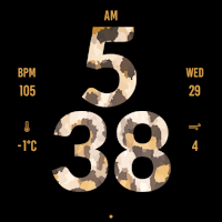 Leopard Watch Face