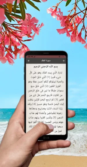 ماهر المعيقلي جزء تبارك Screenshot 2