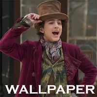 Thimothe Chalamet Wallpaper 4K