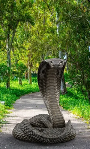 Cobra Attack Live Wallpaper Screenshot 2