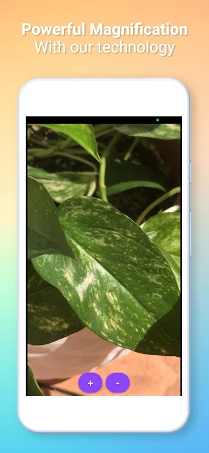 Magnifying Glass & Flashlight Screenshot 2