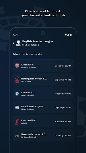 Football Stadium: in the World Screenshot 2