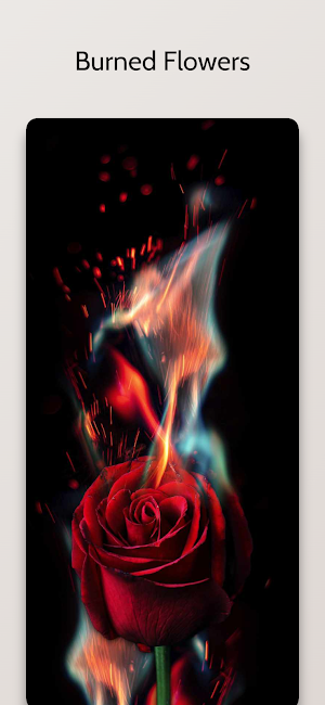 Awesome Fire Wallpapers Screenshot 2