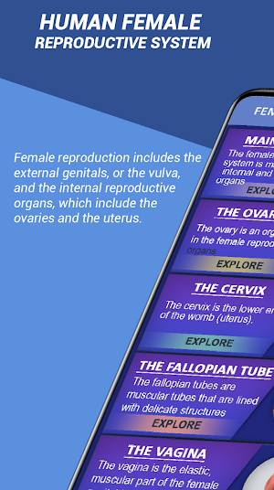 female reproductive system 3d models explained Screenshot 0