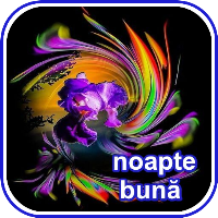imagini de noapte buna