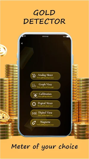 Gold and Metal Detector Screenshot 0