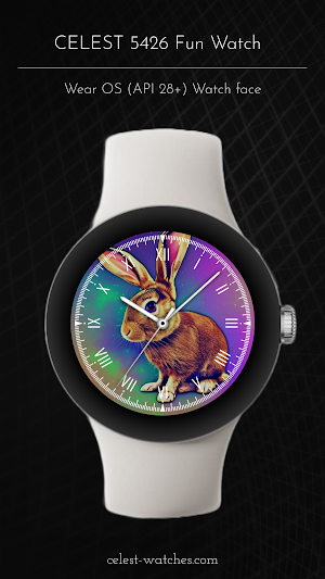 CELEST5426 Fun Watch Screenshot 1