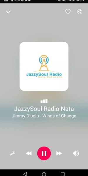 Botswana Radio Stations Screenshot 2