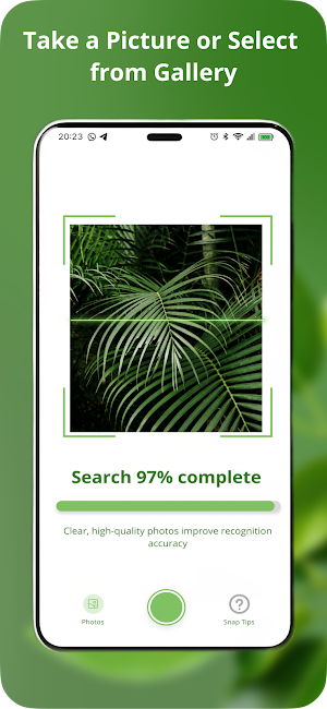 Identify This Plant Sick Screenshot 2