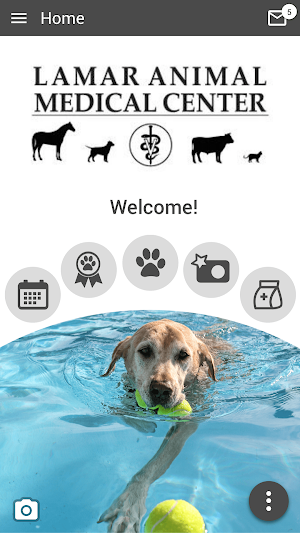 Lamar Animal Medical Center Screenshot 0
