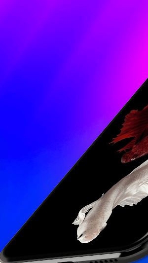 Betta Fish Live Wallpaper 4K Screenshot 0