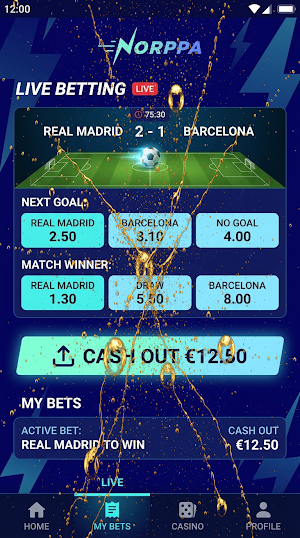 Norppa Casino Screenshot 2