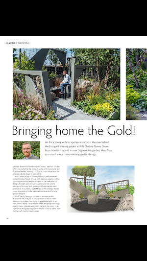 Ireland's Homes Interiors Screenshot 1