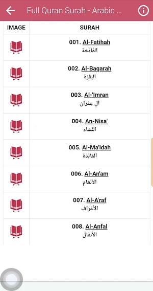 Hazza Al Balushi Quran Offline Screenshot 3