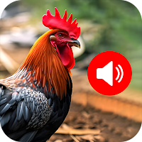 Animal Sounds and Bird Sounds