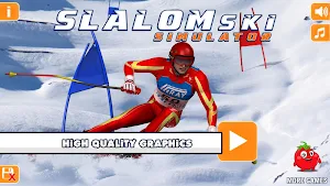 Slalom Ski Simulator Screenshot 0