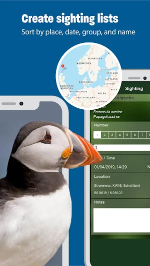 BIRD SONGS Europe, North Africa + Middle East Screenshot 3
