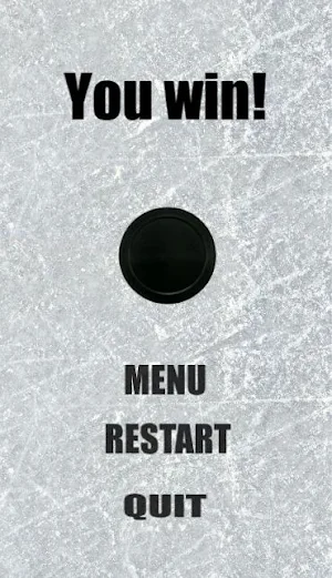 AirHockey. Sport simulator gam Screenshot 3