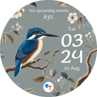 EXD082: Bird Watch Face