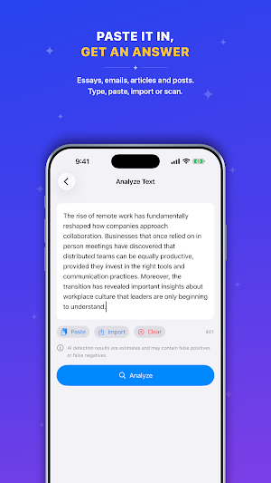 AI Checker Screenshot 2