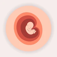 معلومات اختبار الحمل