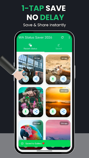 WA Status Saver 2026 Screenshot 2
