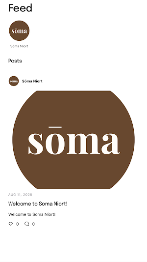Soma Pilates Reformer Screenshot 1