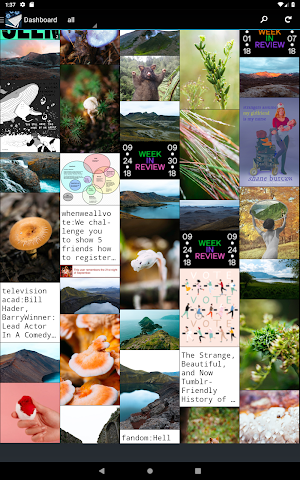 Tumbletail for Tumblr Screenshot 2