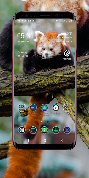 Red Panda Wallpaper Screenshot 2