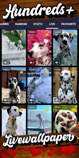 dalmatian wallpaper Screenshot 2