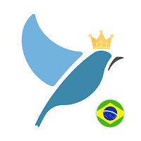 Brazilian Portuguese Tests