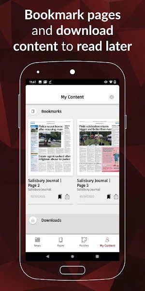 Salisbury Journal Screenshot 2