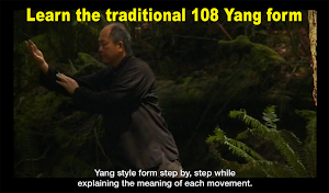 Yang Tai Chi for Beginners 1 by Dr. Yang Screenshot 3