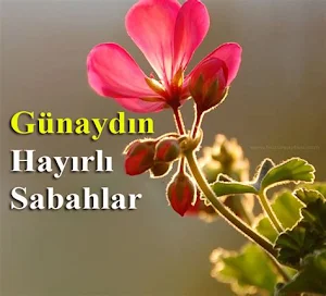 Günaydın Mesajları Screenshot 0
