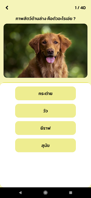 SDU Brain Training Screenshot 2
