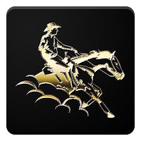 NRHA Futurity Sales