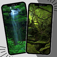 Jungle Wallpaper