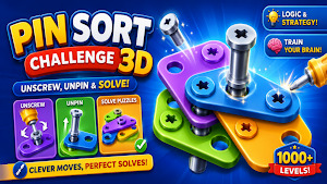 Pin Sort Challenge 3D Screenshot 3