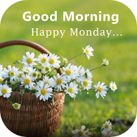 monday good morning
