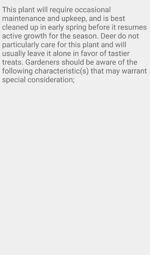 Sedum Red Carpet Flower Screenshot 2