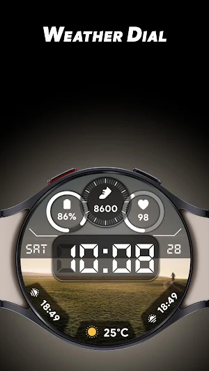 Weather Dial - Watch face Screenshot 0